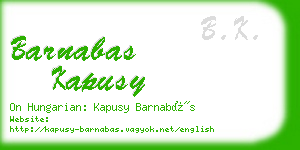 barnabas kapusy business card